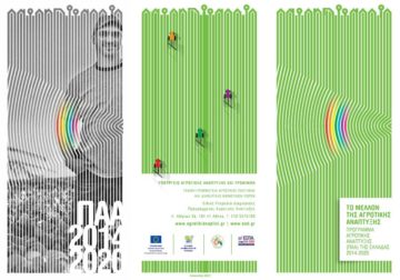 paa leaflet cover
