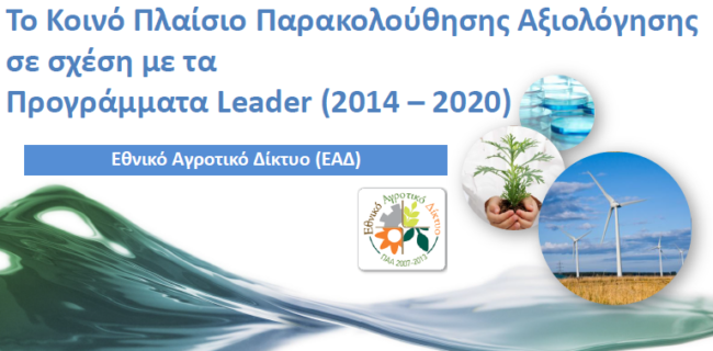 local development clld leader