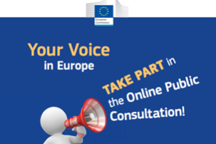 europe consultation