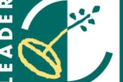 logo_LEADER (Custom)