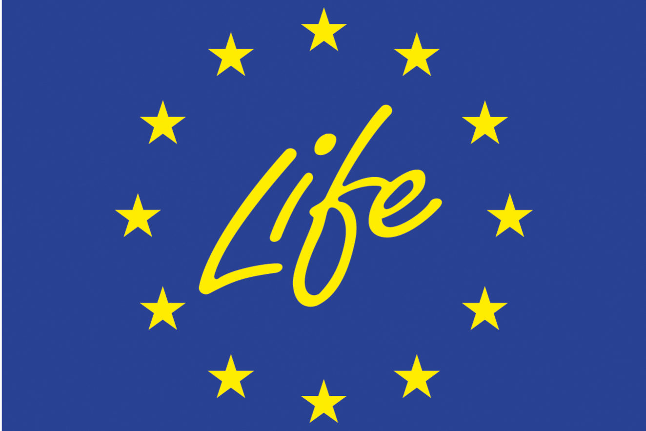 life (1)