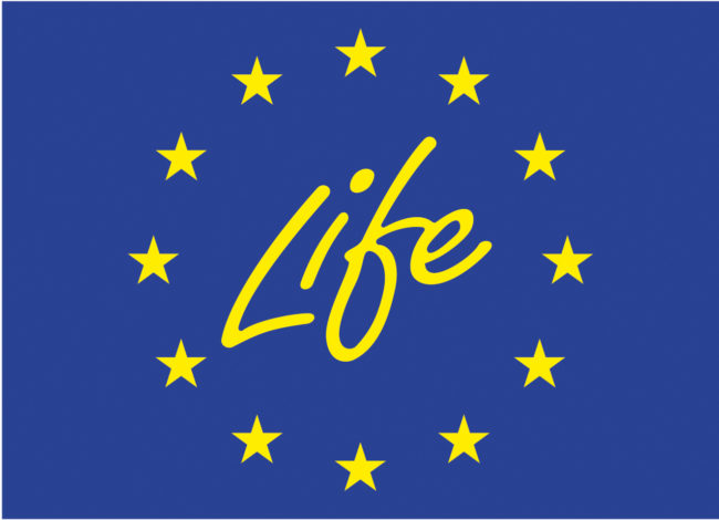 life (1)