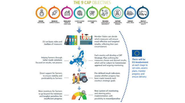 CAP-INFOGRAPHIC-900×500
