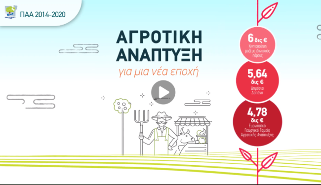 video_paa