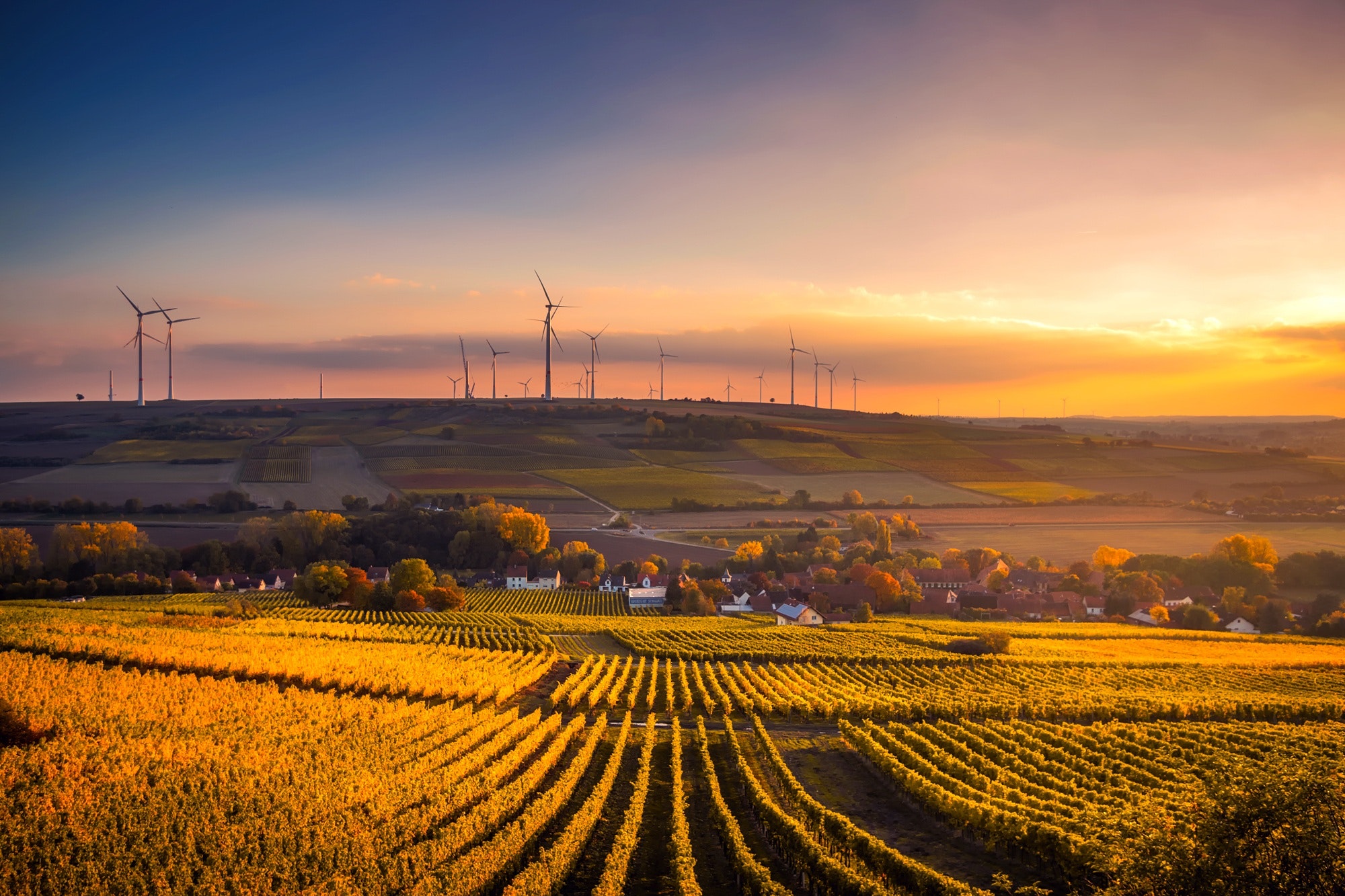 agriculture-beautiful-clouds-325944