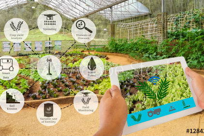 precision farming