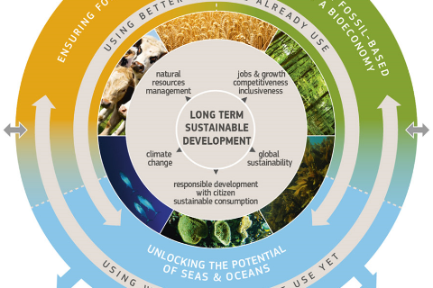 bioeconomy