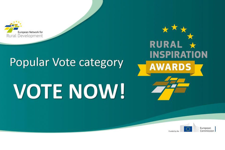 Vote-NOW