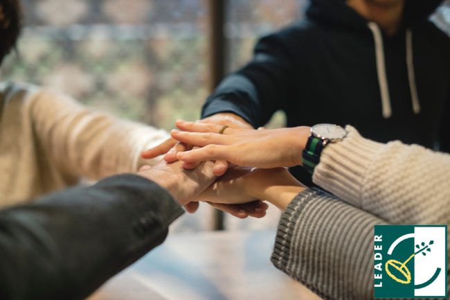 cooperation offer leader