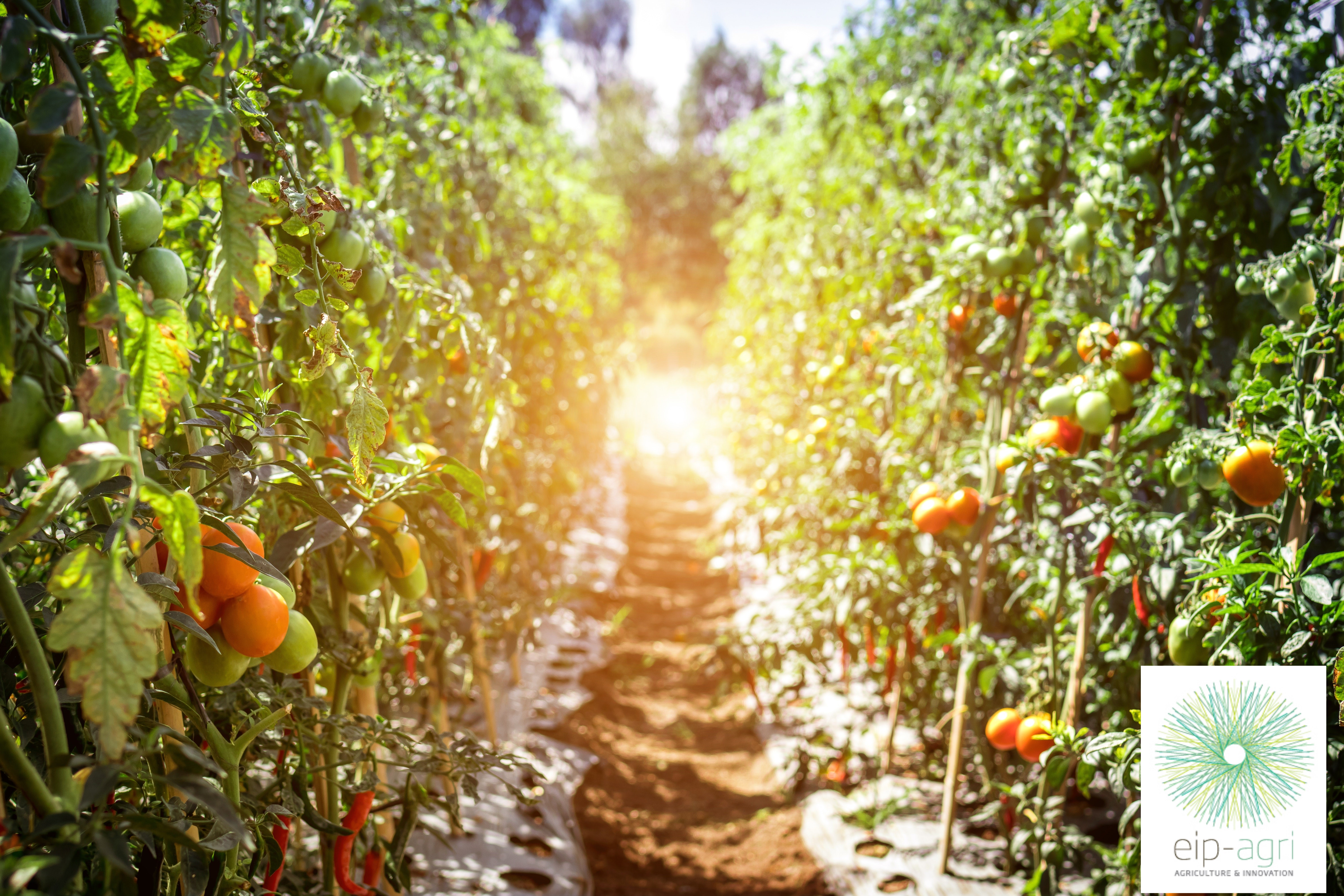 cropping for the future 2