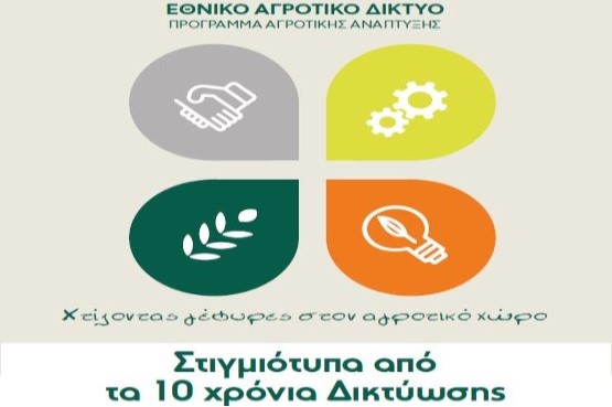 10 years networking_image 5