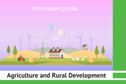 2020-08-31 15_41_21-Window