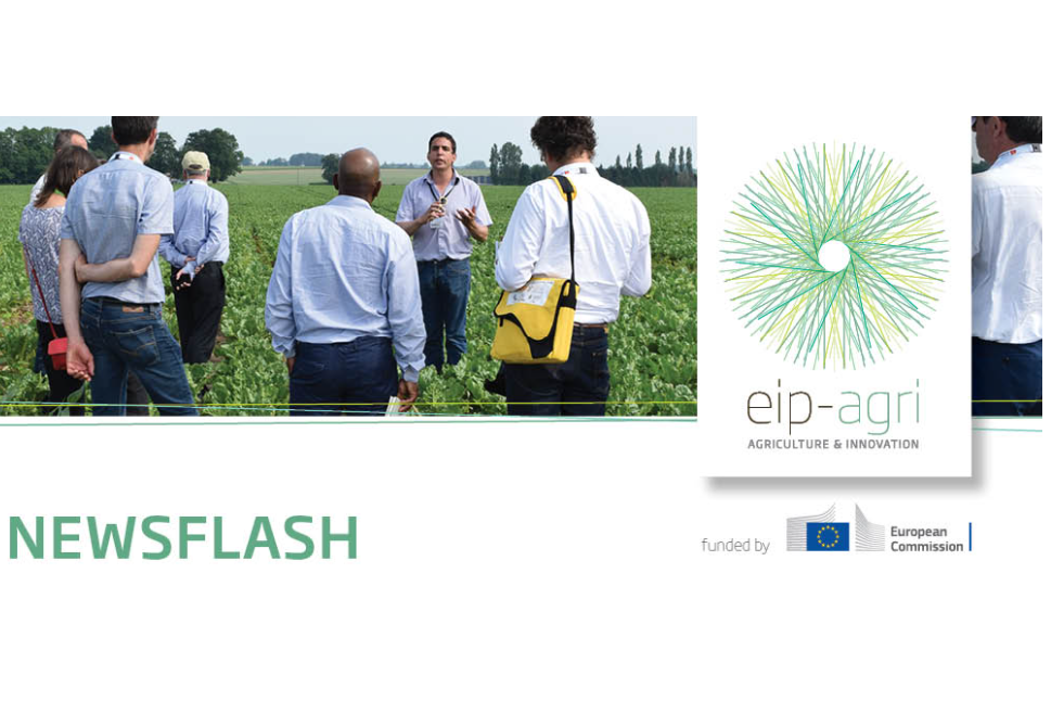 Screenshot-2022-02-02-114526