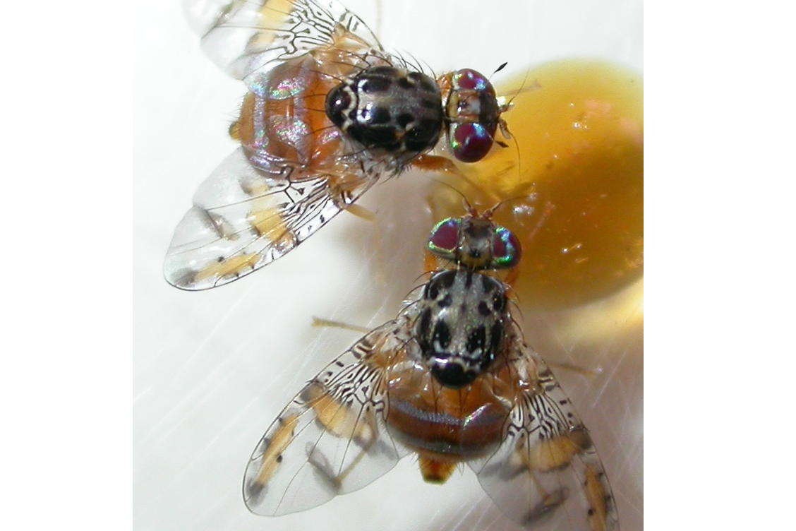 Screenshot 2022-03-18 095311