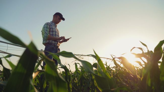 biobased fertilisers