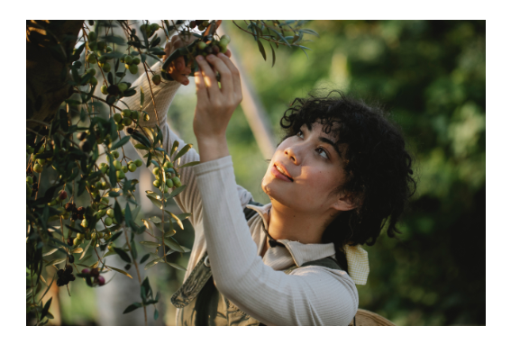 Screenshot 2022-04-20 132410