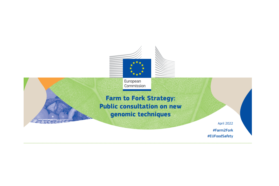 Screenshot 2022-05-20 085735