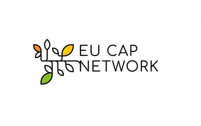 Screenshot 2022-12-06 120643